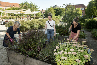 Kvinder ved køkkenhave