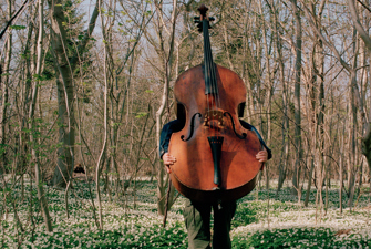 Cello ude i en skov
