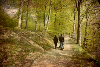 Par går i skov. Foto: Colourbox